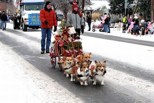 Daily Picdump