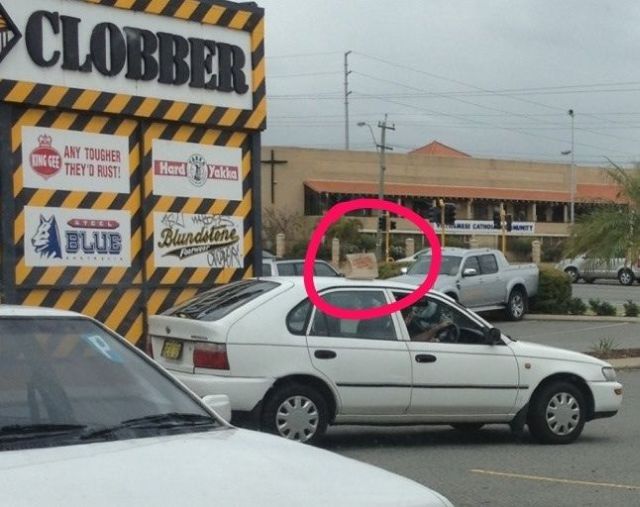 Daily Picdump
