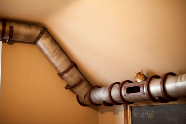 Can You Guess What This Pipe Is Used For?