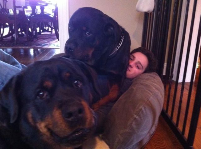 Morning Picdump