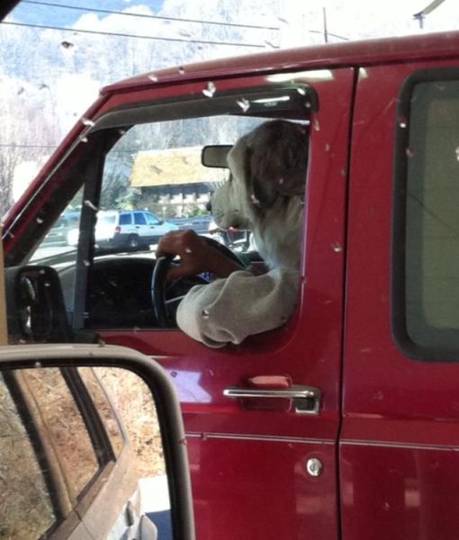 Morning Picdump