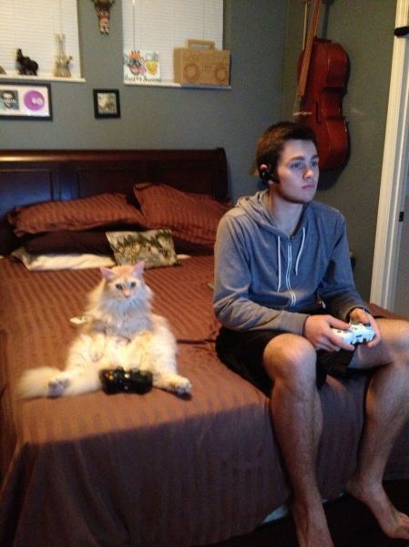 Morning Picdump