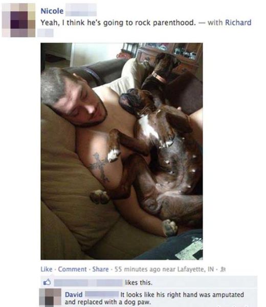 Morning Picdump
