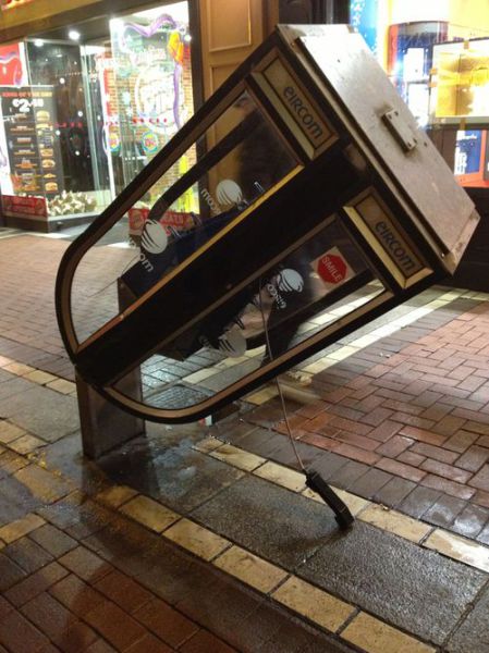 Morning Picdump