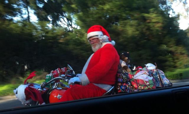 Morning Picdump