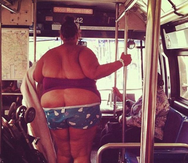 Daily Picdump