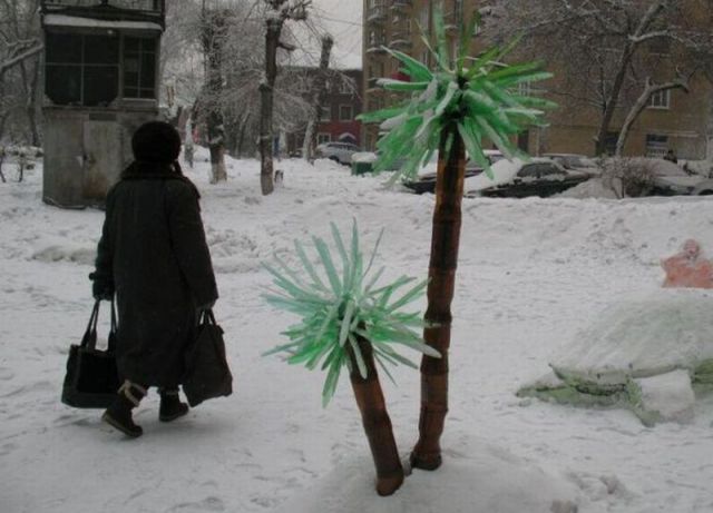 Daily Picdump
