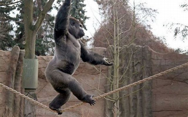 Morning Picdump