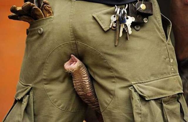Morning Picdump
