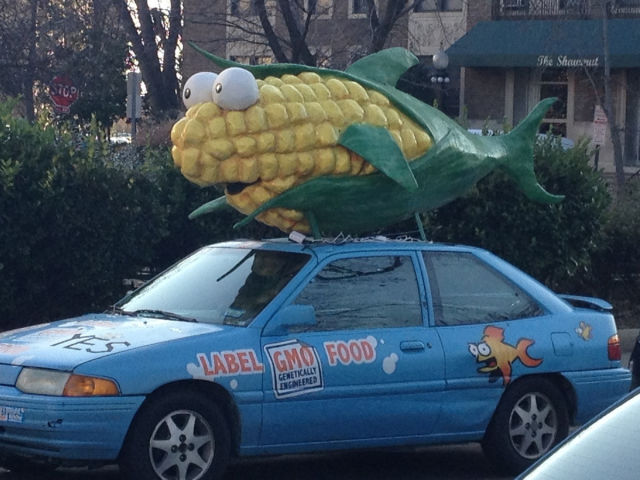 Morning Picdump