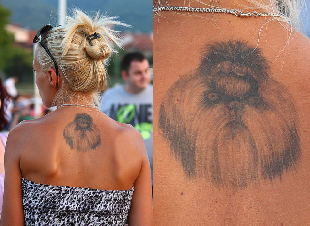 Morning Picdump