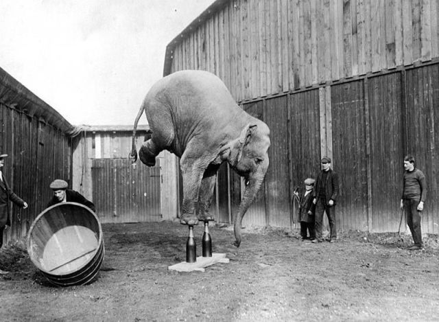 Morning Picdump