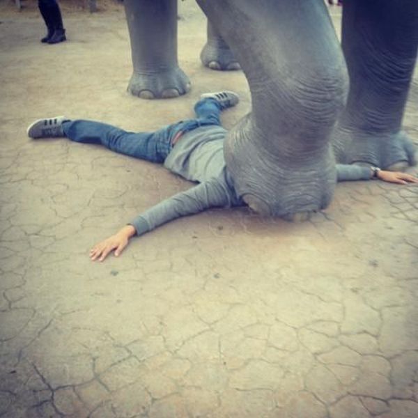 Morning Picdump