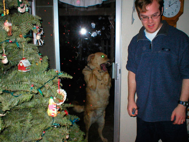 Morning Picdump