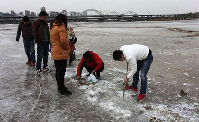 Winter Fishing Level: Chinese