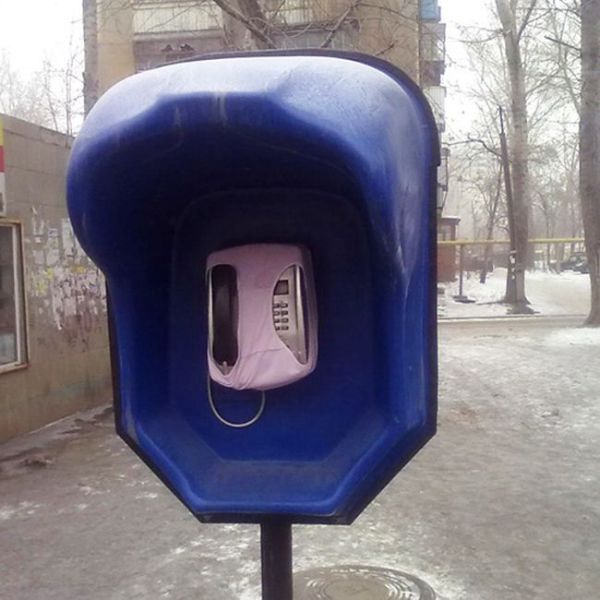 Morning Picdump