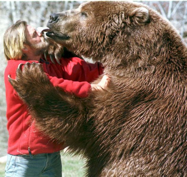 Morning Picdump