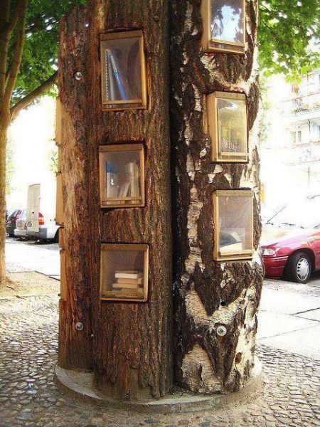 Morning Picdump