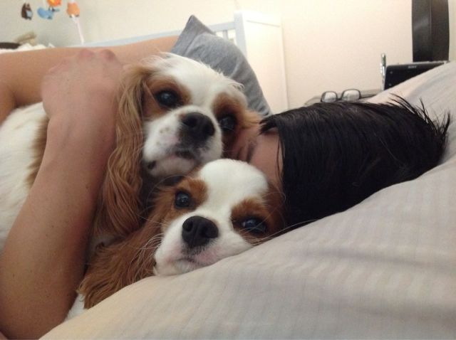 Morning Picdump