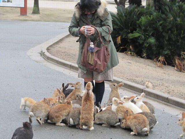 Morning Picdump