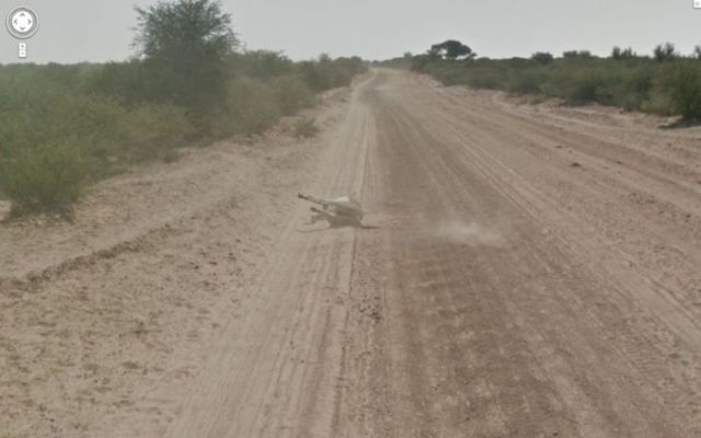 Google Street View Captures Donkey 