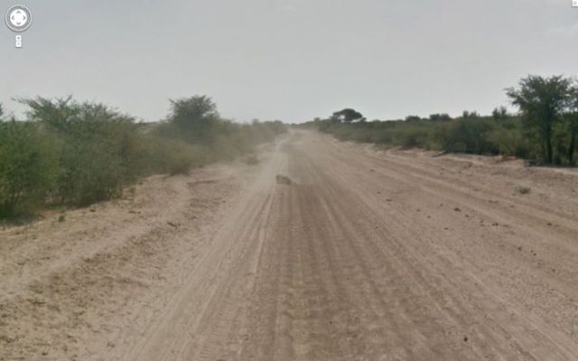 Google Street View Captures Donkey “Accident”