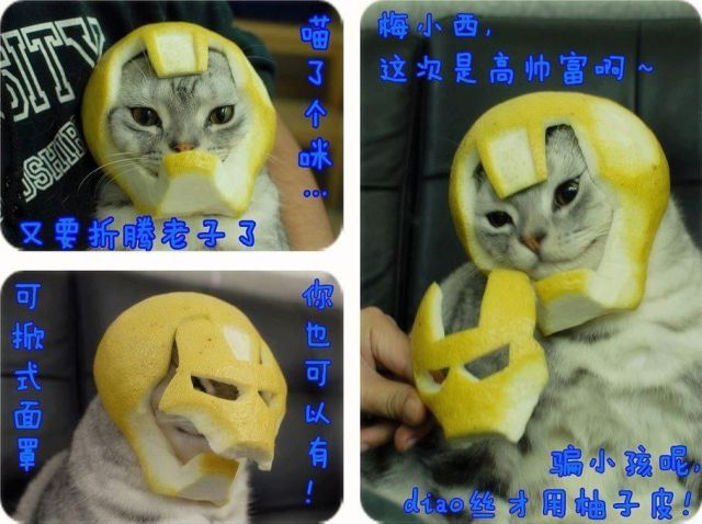 Morning Picdump