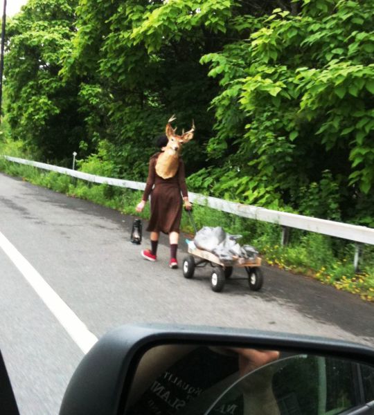 Morning Picdump