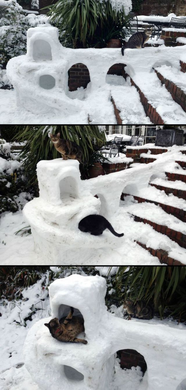 Morning Picdump