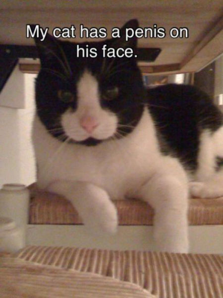 Look Again, There