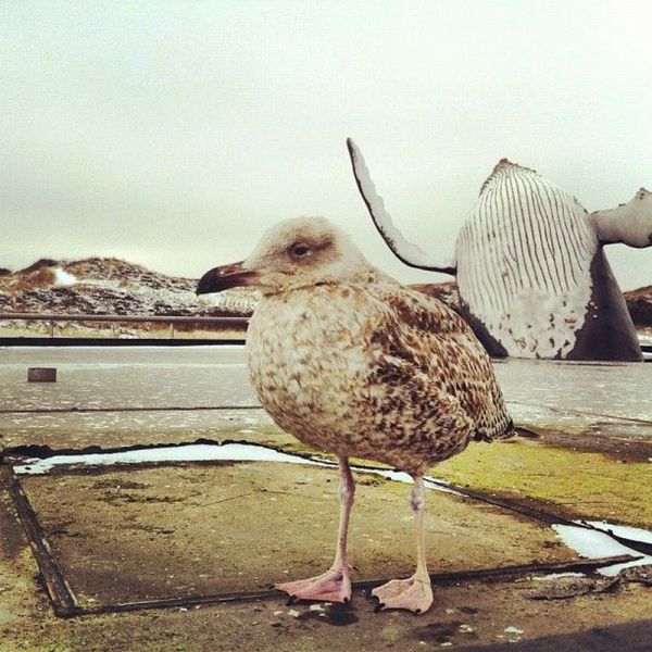Morning Picdump