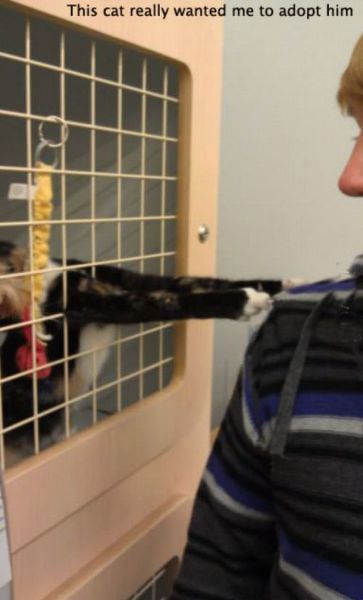 Morning Picdump