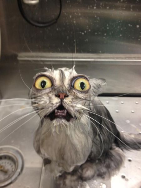 Daily Picdump [WEEKEND EDITION]