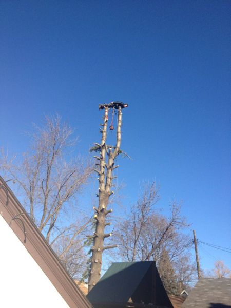 Daily Picdump [WEEKEND EDITION]