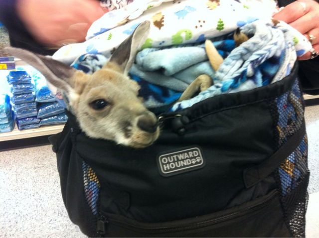 Daily Picdump [WEEKEND EDITION]