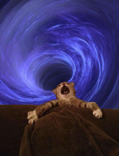 Daily Picdump [WEEKEND EDITION]