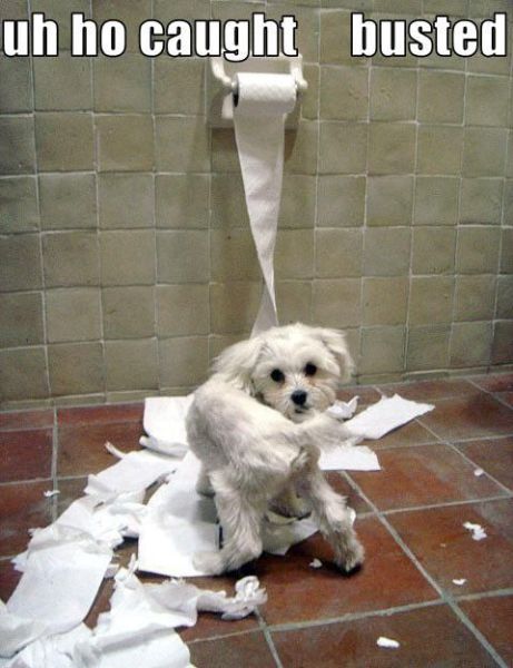 Oops, Totally Busted