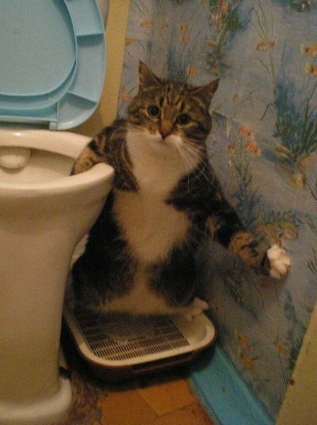 Oops, Totally Busted