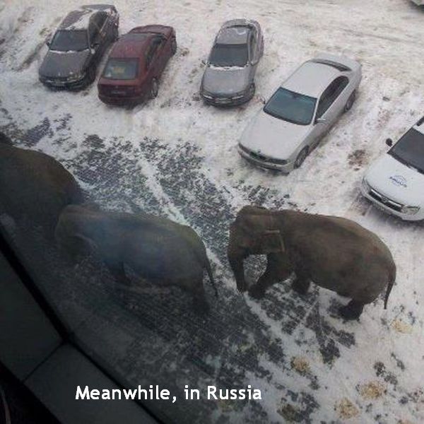 Daily Picdump