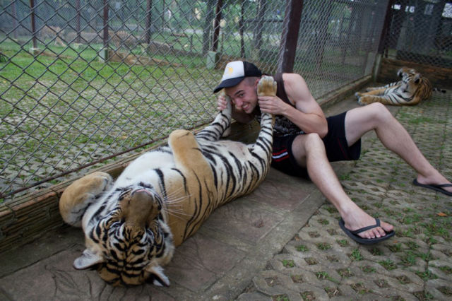 Morning Picdump