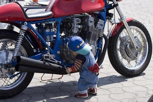 Morning Picdump