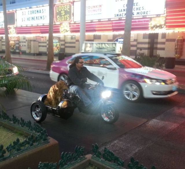 Morning Picdump