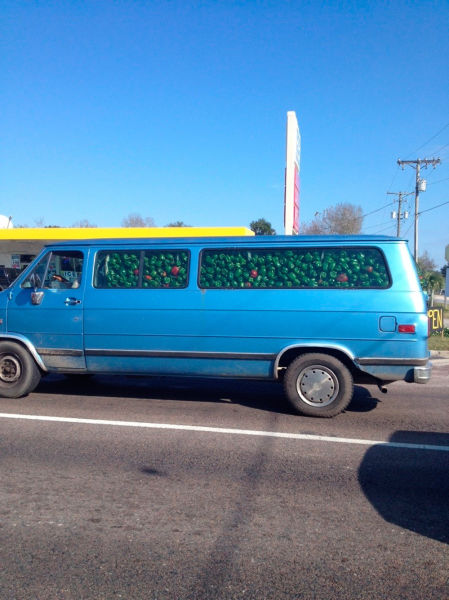 Morning Picdump