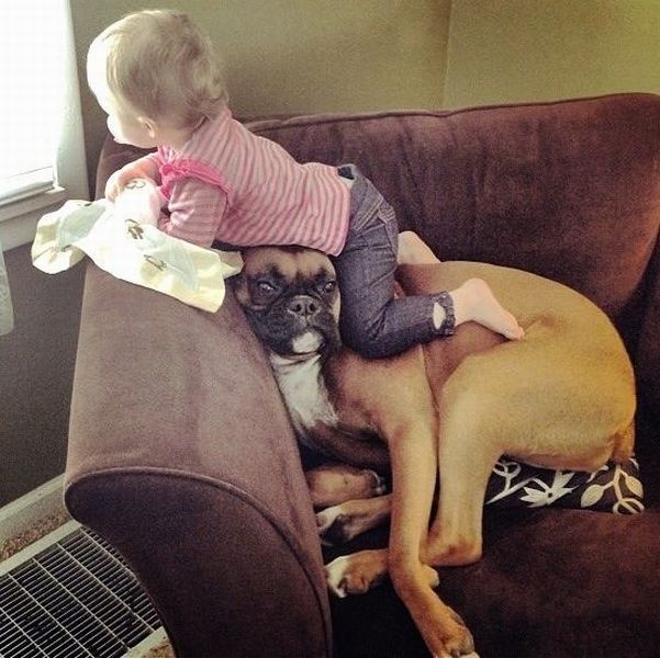 Daily Picdump