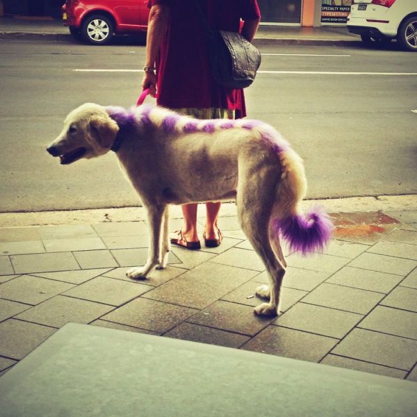 Daily Picdump