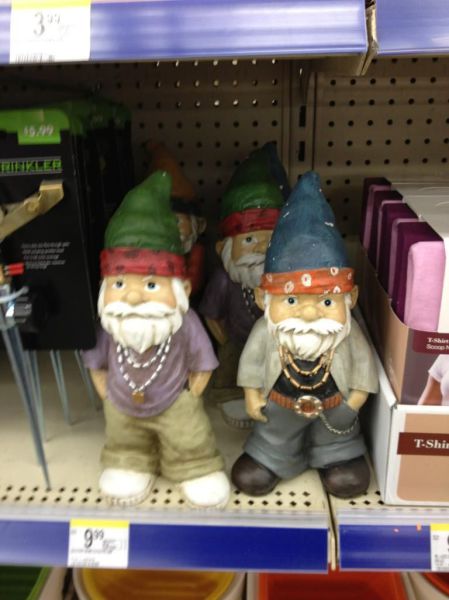 Daily Picdump