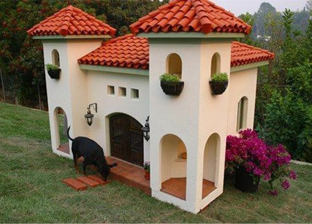 Daily Picdump