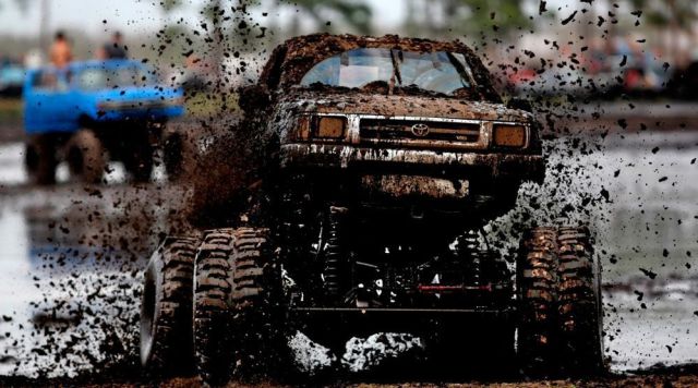 Morning Picdump