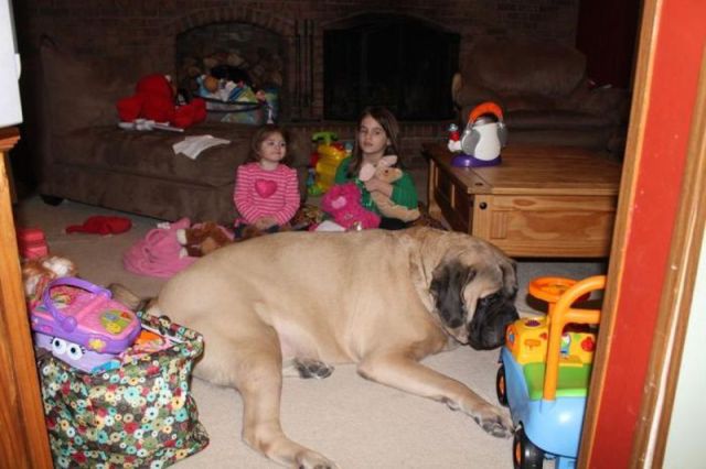 Morning Picdump