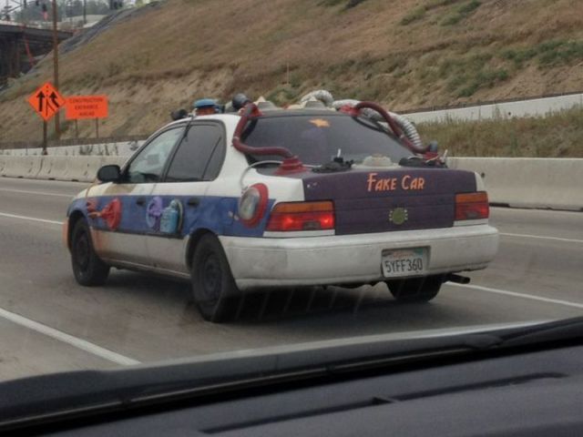 Morning Picdump